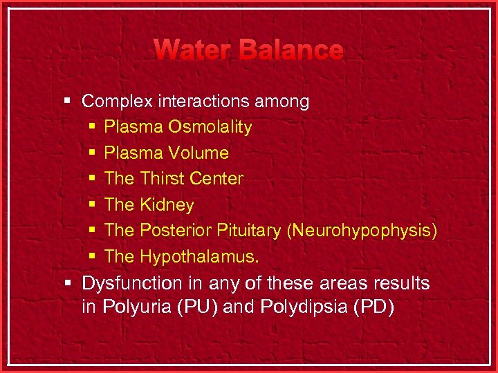 Water Balance § Complex interactions among § Plasma Osmolality § Plasma Volume § The