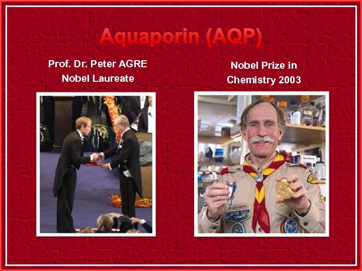 Aquaporin (AQP) Prof. Dr. Peter AGRE Nobel Laureate Nobel Prize in Chemistry 2003 