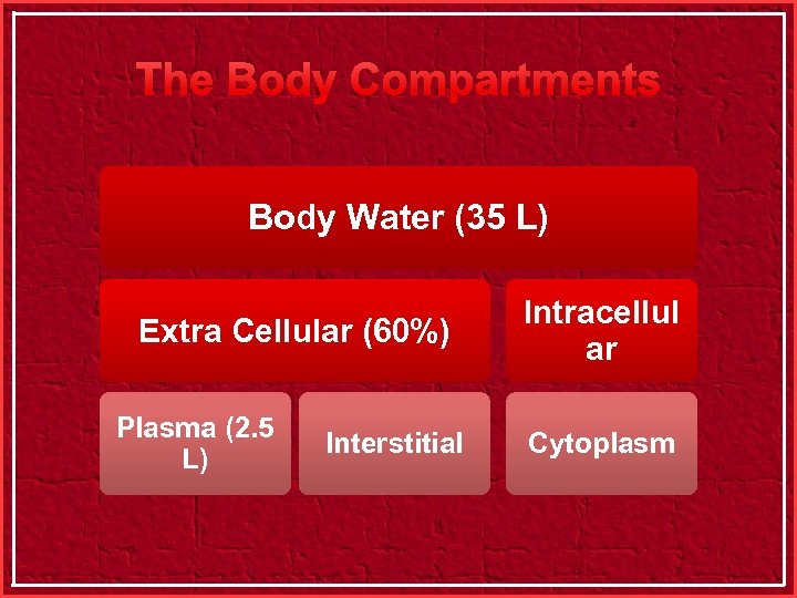 The Body Compartments Body Water (35 L) Extra Cellular (60%) Plasma (2. 5 L)