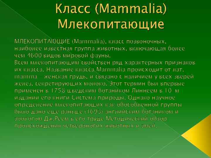 Класс (Mammalia) Млекопитающие МЛЕКОПИТАЮЩИЕ (Mammalia), класс позвоночных, наиболее известная группа животных, включающая более чем