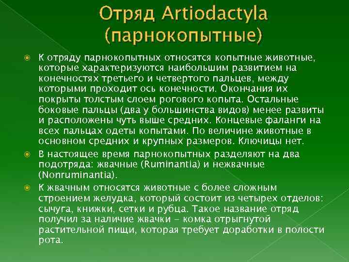 Отряд Artiodactyla (парнокопытные) К отряду парнокопытных относятся копытные животные, которые характеризуются наибольшим развитием на