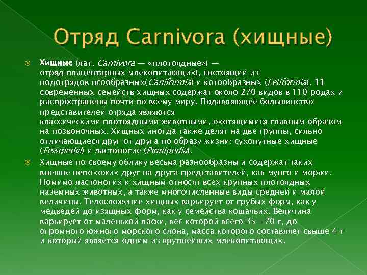 Отряд Carnivora (хищные) Хищные (лат. Carnivora — «плотоядные» ) — отряд плацентарных млекопитающих), состоящий