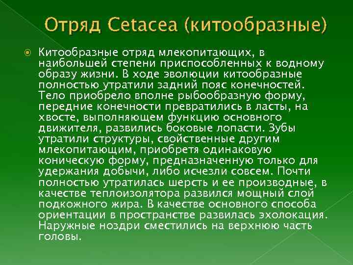 Отряд Cetacea (китообразные) Китообразные отряд млекопитающих, в наибольшей степени приспособленных к водному образу жизни.