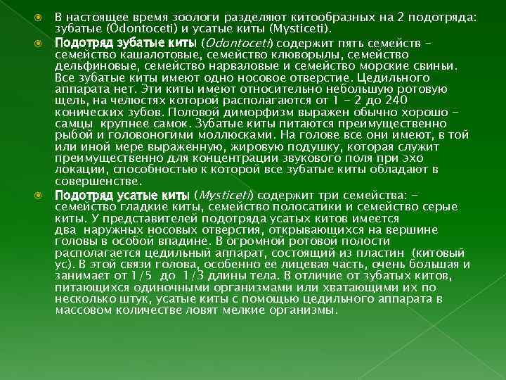  В настоящее время зоологи разделяют китообразных на 2 подотряда: зубатые (Odontoceti) и усатые