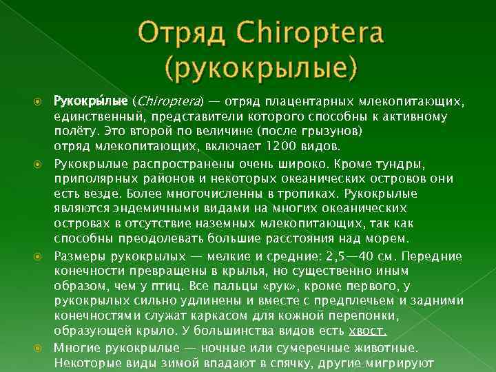 Отряд Chiroptera (рукокрылые) Рукокры лые (Chiroptera) — отряд плацентарных млекопитающих, единственный, представители которого способны