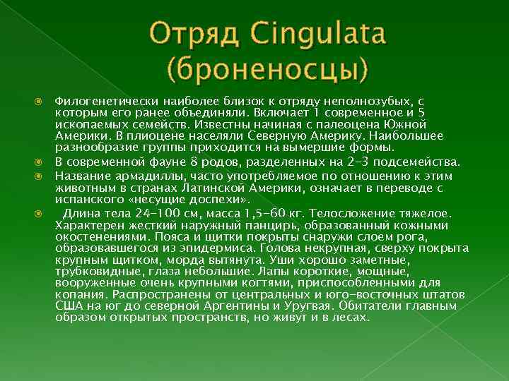 Отряд Cingulata (броненосцы) Филогенетически наиболее близок к отряду неполнозубых, с которым его ранее объединяли.