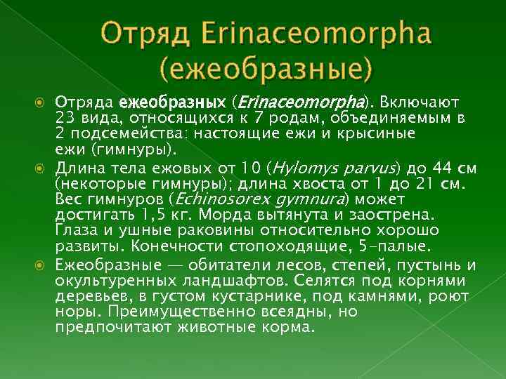 Отряд Erinaceomorpha (ежеобразные) Отряда ежеобразных (Erinaceomorpha). Включают 23 вида, относящихся к 7 родам, объединяемым