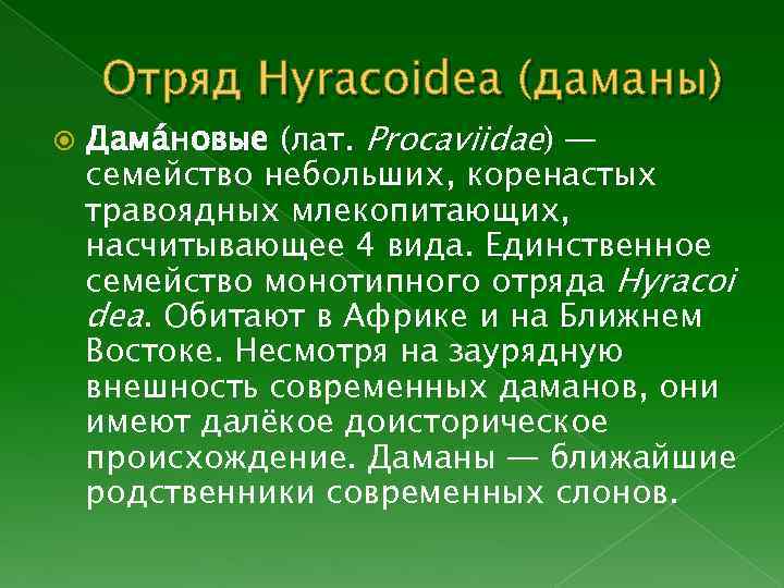 Отряд Hyracoidea (даманы) Дама новые (лат. Procaviidae) — семейство небольших, коренастых травоядных млекопитающих, насчитывающее