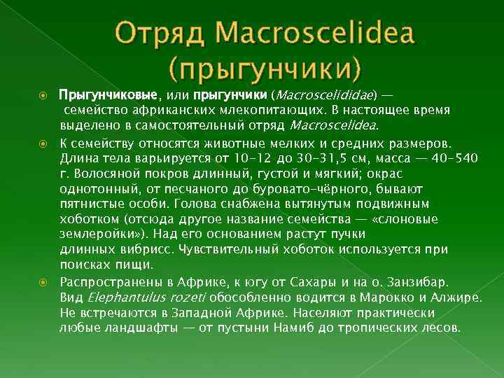 Отряд Macroscelidea (прыгунчики) Прыгунчиковые, или прыгунчики (Macroscelididae) — семейство африканских млекопитающих. В настоящее время