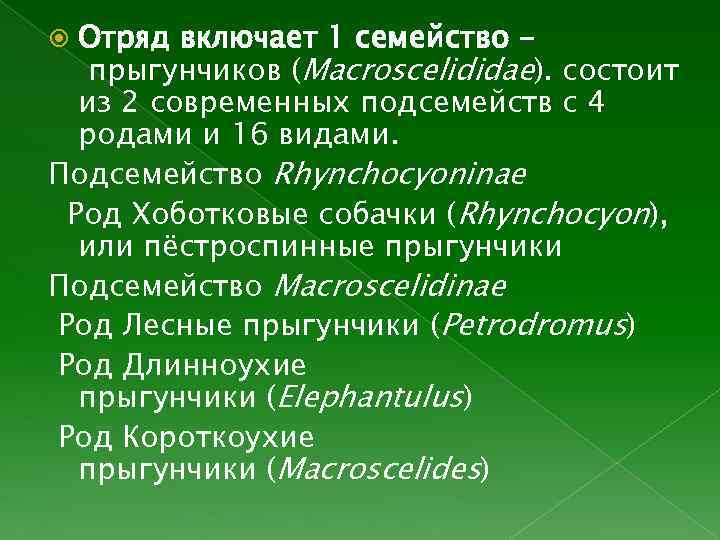 Отряд включает 1 семейство прыгунчиков (Macroscelididae). состоит из 2 современных подсемейств с 4 родами