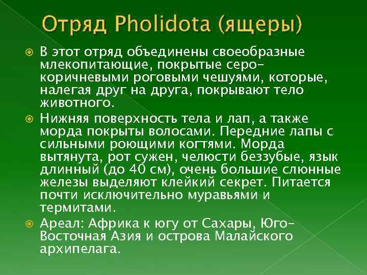 Отряд Pholidota (ящеры) В этот отряд объединены своеобразные млекопитающие, покрытые серокоричневыми роговыми чешуями, которые,