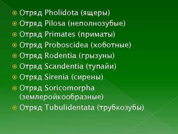 Отряд Pholidota (ящеры) Отряд Pilosa (неполнозубые) Отряд Primates (приматы) Отряд Proboscidea (хоботные) Отряд Rodentia