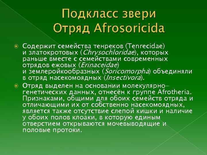 Подкласс звери Отряд Afrosoricida Содержит семейства тенреков (Tenrecidae) и златокротовых (Chrysochloridae), которых раньше вместе