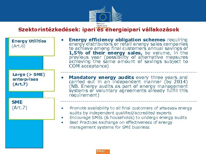 Szektorintézkedések: ipari és energiaipari vállakozások Energy Utilities (Art. 6) Large (> SME) enterprises (Art.