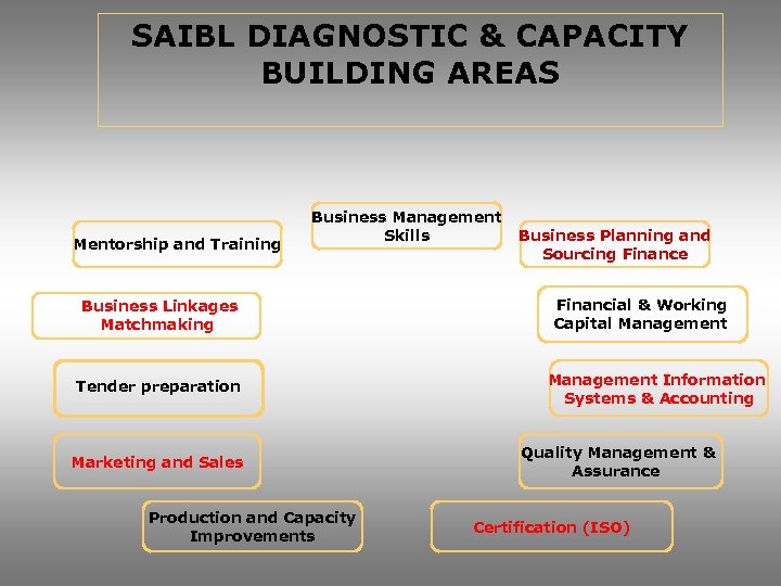 SAIBL DIAGNOSTIC & CAPACITY BUILDING AREAS Mentorship and Training Business Management Skills Business Linkages
