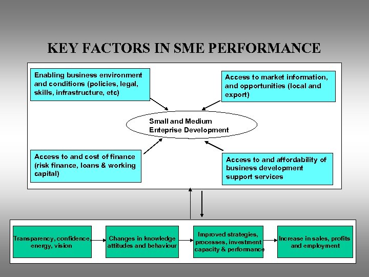 KEY FACTORS IN SME PERFORMANCE Enabling business environment and conditions (policies, legal, skills, infrastructure,