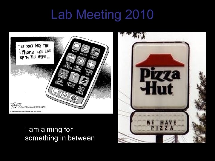 Lab Meeting 2010 I am aiming for something in between 