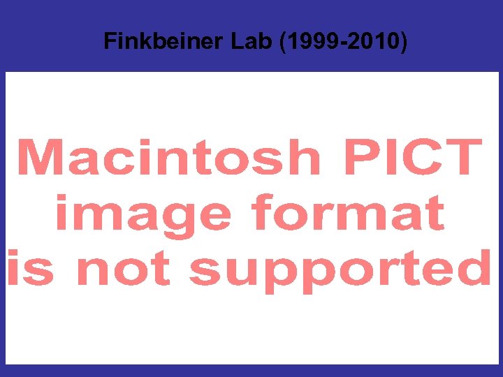 Finkbeiner Lab (1999 -2010) 