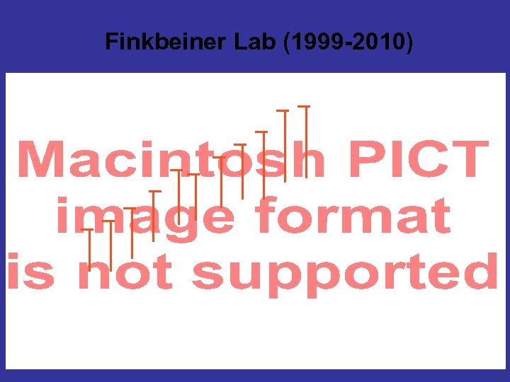 Finkbeiner Lab (1999 -2010) 