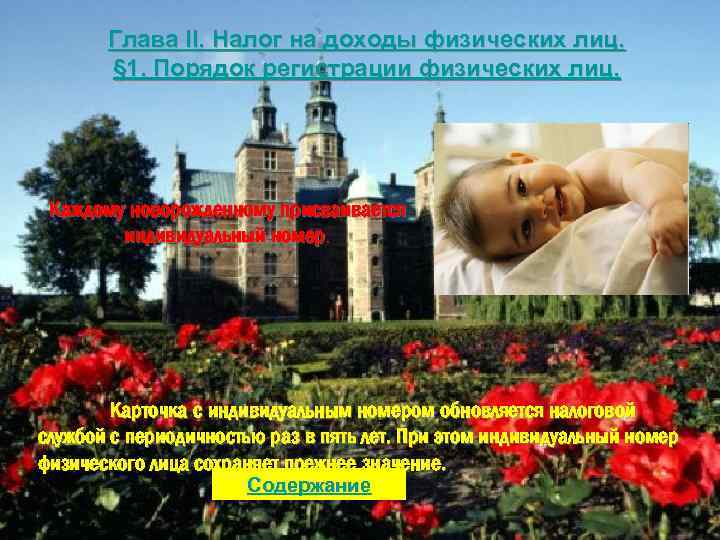 Глава II. Налог на доходы физических лиц. § 1. Порядок регистрации физических лиц. Каждому