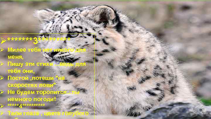 )) Ø*******3***** Ø Милее тебя нет никого для меня, Ø Пишу эти стихи. .