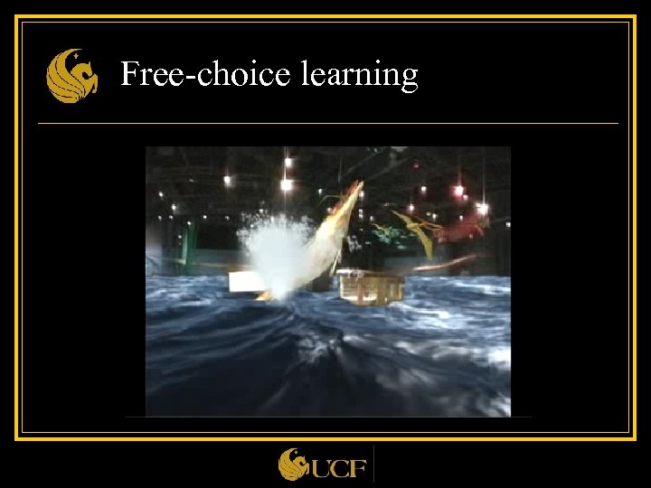 Free-choice learning 