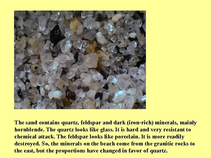 The sand contains quartz, feldspar and dark (iron-rich) minerals, mainly hornblende. The quartz looks