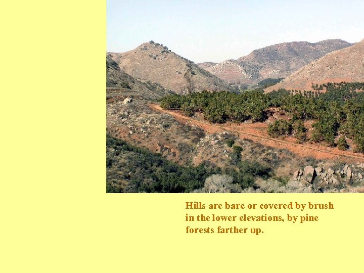 Hills are bare or covered by brush in the lower elevations, by pine forests