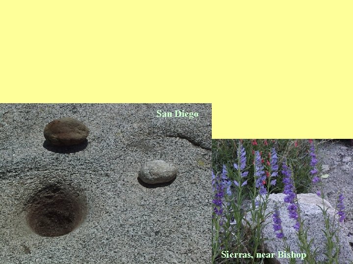 San Diego Sierras, near Bishop 