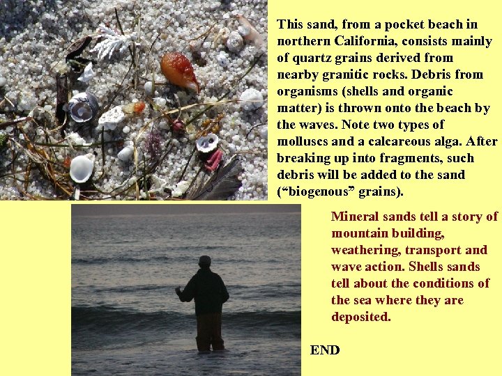 This sand, from a pocket beach in northern California, consists mainly of quartz grains