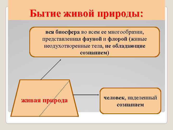 Бытие живой природы: вся биосфера во всем ее многообразии, представленная фауной и флорой (живые