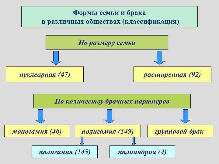 Формы семьи и брака в различных обществах (классификация) По размеру семьи нуклеарная (47) расширенная
