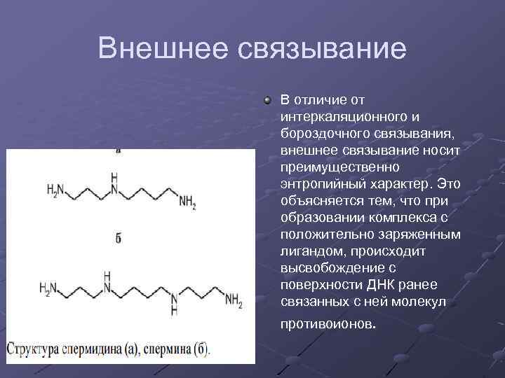 Внешнее связывание В отличие от интеркаляционного и бороздочного связывания, внешнее связывание носит преимущественно энтропийный