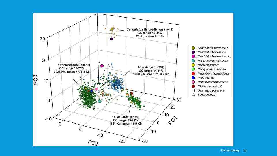Галкин Фёдор 19 