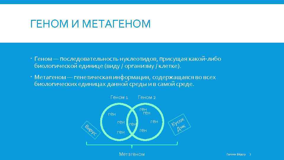 ГЕНОМ И МЕТАГЕНОМ Геном — последовательность нуклеотидов, присущая какой-либо биологической единице (виду / организму
