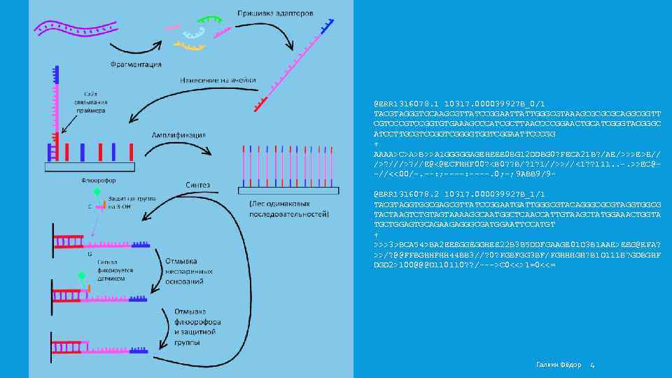 @ERR 1316078. 1 10317. 000039927 B_0/1 TACGTAGGGTGCAAGCGTTATCCGGAATTATTGGGCGTAAAGCGCAGGCGGTT CGTCCGGTGTGAAAGCCCATCGCTTAACCCCGGAACTGCATCGGGTACGGGC ATCCTTGCGTCCGGTCGGGGTGGTCGGAATTCCCGG + AAAA>C>A>B>>A 1 GGGGGAGEHEEE 0