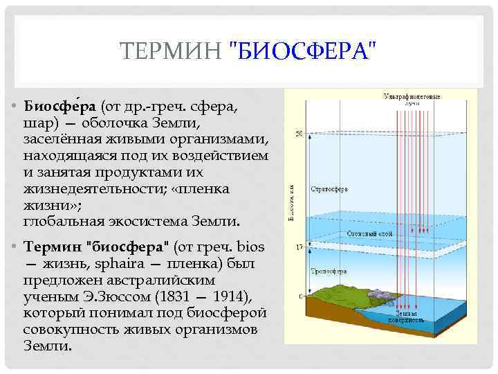 ТЕРМИН "БИОСФЕРА" • Биосфе ра (от др. -греч. сфера, шар) — оболочка Земли, заселённая