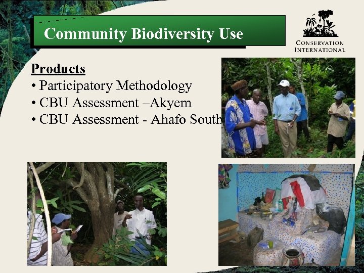 Community Biodiversity Use Products • Participatory Methodology • CBU Assessment –Akyem • CBU Assessment