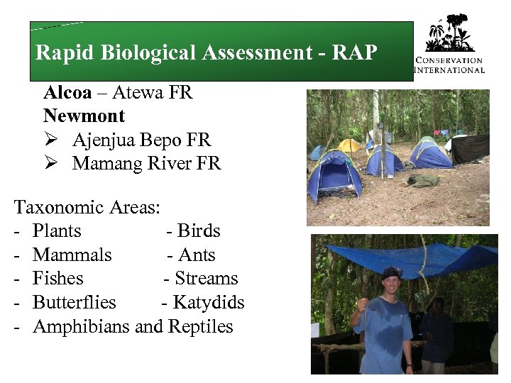 Rapid Biological Assessment - RAP Alcoa – Atewa FR Newmont Ø Ajenjua Bepo FR