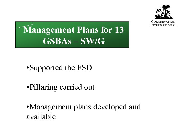 Management Plans for 13 GSBAs – SW/G • Supported the FSD • Pillaring carried