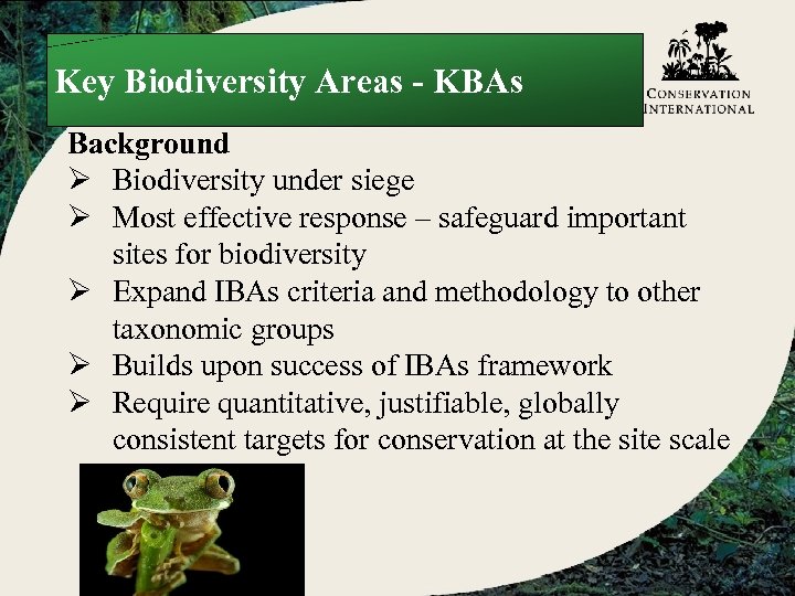 Key Biodiversity Areas - KBAs Background Ø Biodiversity under siege Ø Most effective response