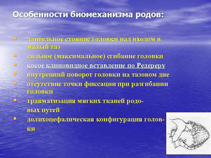 Особенности биомеханизма родов: § § § § длительное стояние головки над входом в малый