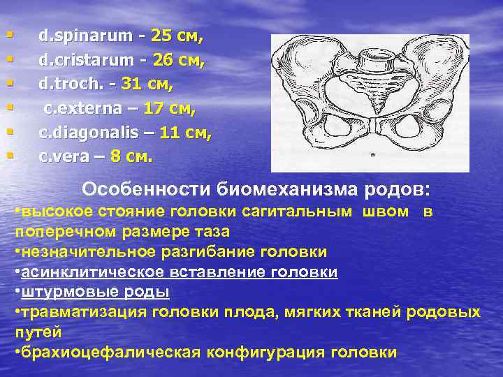 Измерение таза картинки