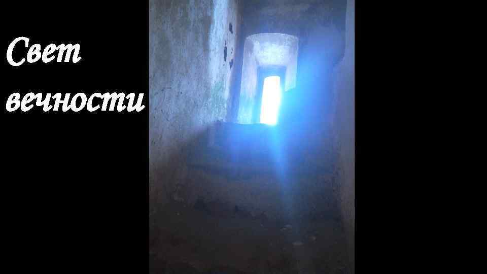 Свет вечности 