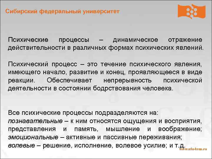 Сибирский федеральный университет Психические процессы – динамическое отражение действительности в различных формах психических явлений.