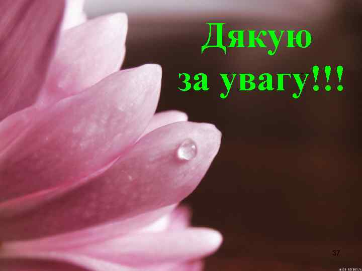 Дякую за увагу!!! 37 