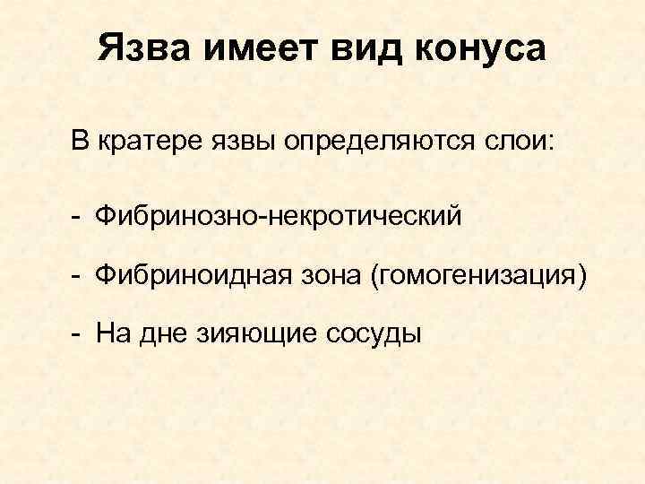 Язва имеет вид конуса В кратере язвы определяются слои: - Фибринозно-некротический - Фибриноидная зона