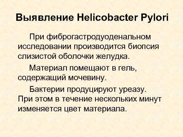 Выявление Helicobacter Pylori При фиброгастродуоденальном исследовании производится биопсия слизистой оболочки желудка. Материал помещают в