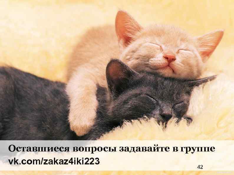 Оставшиеся вопросы задавайте в группе vk. com/zakaz 4 iki 223 42 