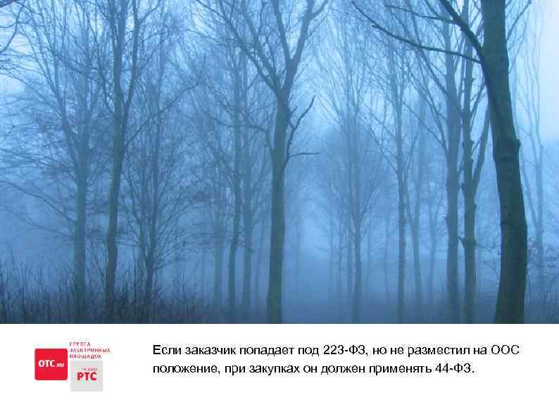 Если заказчик попадает под 223 -ФЗ, но не разместил на ООС положение, при закупках